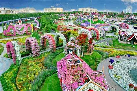 Dubai Miracle Garden & Dubai Butterfly Garden Announces Temporary ...