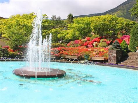 Gora Park | Hakone | Japan Deluxe Tours