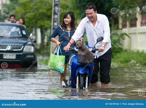 Monsoon season in Thailand editorial photography. Image of ayuthaya ...