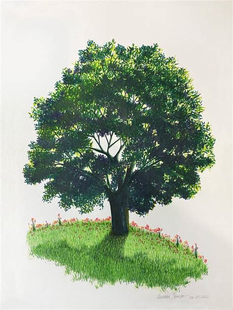 India's robust tree Drawing by Humberto C Pornaro | Saatchi Art