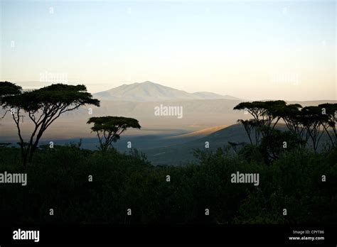 Sunrise, Ngorongoro Crater, volcano, northern edge of the Ngorongoro Conservation Area, Tanzania ...