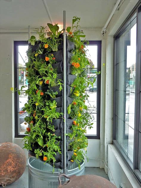 Aquaponic Vertical Ve able Garden – Plants Walls | Vertical garden indoor, Vegetable garden ...