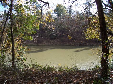 The Camp on the Neches River in East Texas | Landscape, River, Outdoor