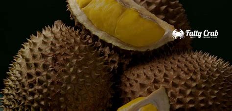 What Is Musang King Durian - Fatty Crab