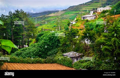 Sri lanka village life in mountains Stock Photo - Alamy