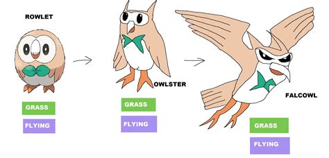 Rowlet's evolution by Rainbow-Dash-Rockz - Fanart Central