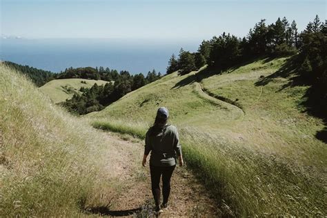 My Favorite Hiking Trails in Mount Tamalpais - Bon Traveler