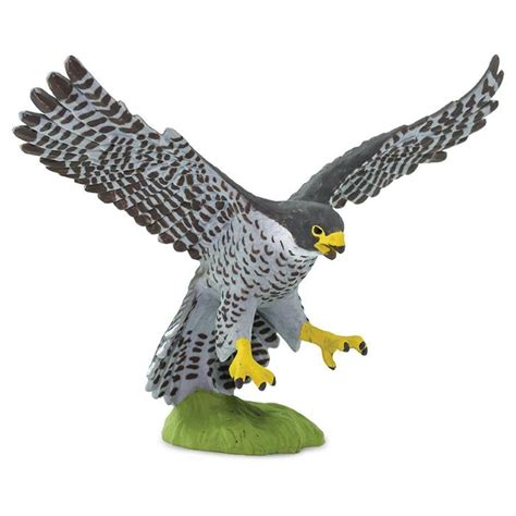 Peregrine Falcon Model