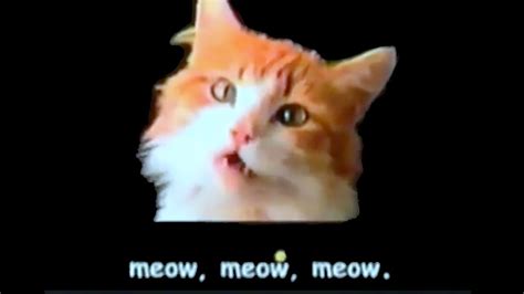 MEOW MIX - 1970s Commercials - YouTube