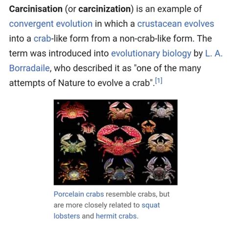 Carcinisation (or carcinization) is an example of convergent evolution in which a crustacean ...