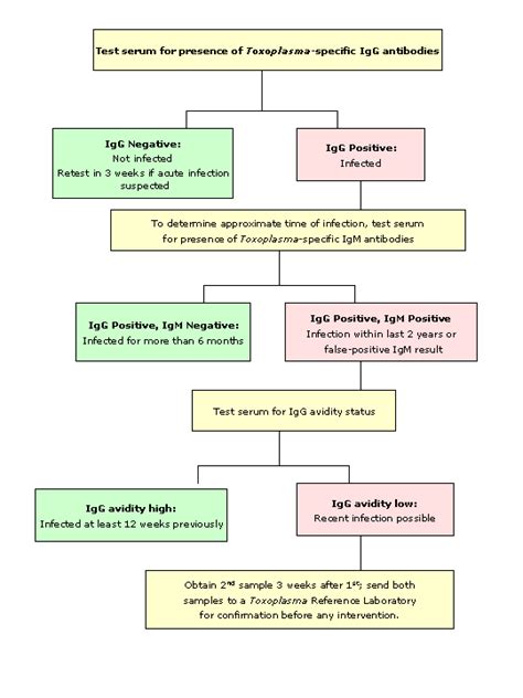 Toxoplasmosis - Serology Findings