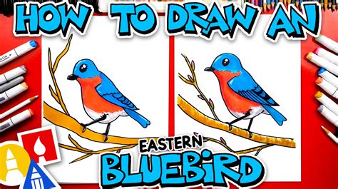 How To Draw An Eastern Bluebird - Art For Kids Hub