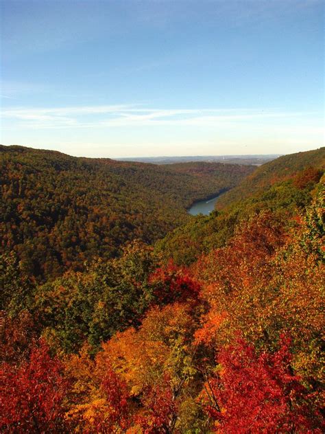 Here's Your Road Trip To See The Best Fall Foliage In West Virginia ...