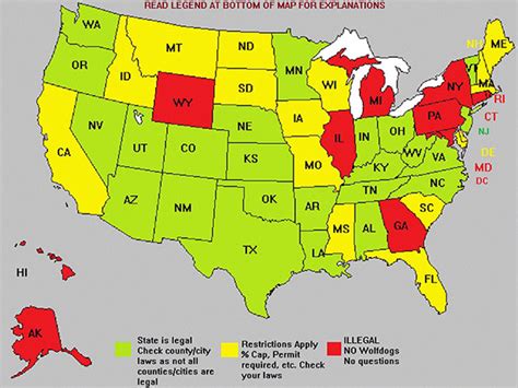 What States Allow Wolf Dogs