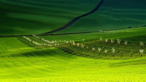 HD wallpaper: landscape photography of green field, moravia, south ...