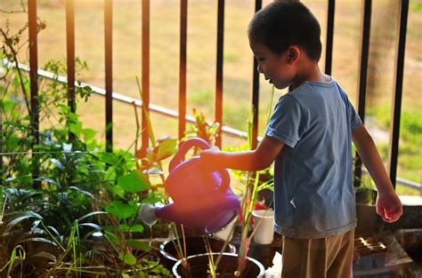 6 Fun & Simple Nature Activities for Kids | Kid Power