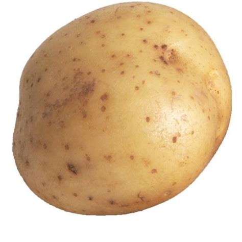 Funny Potato (@PotatoLOOL) | Twitter