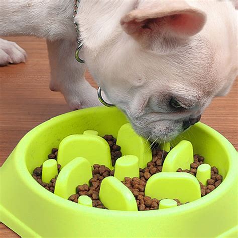 Best Puppy Dog Bowls - Photos All Recommendation