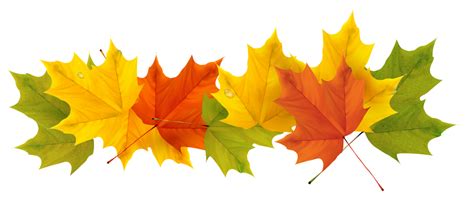 Free Fall Clipart Transparent Background, Download Free Fall Clipart Transparent Background png ...