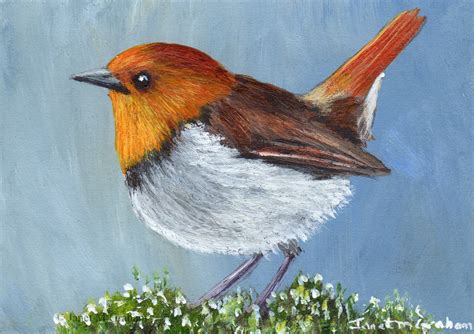 Janet M Graham's Painting Blog: Japanese Robin ACEO in acrylics