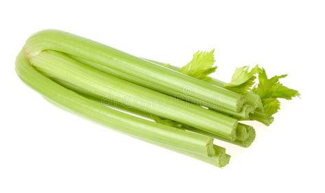 Celery stalks stock photo. Image of ripe, produce, green - 12461976