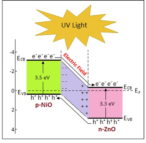 Mechanism of photodegradation. | Download Scientific Diagram