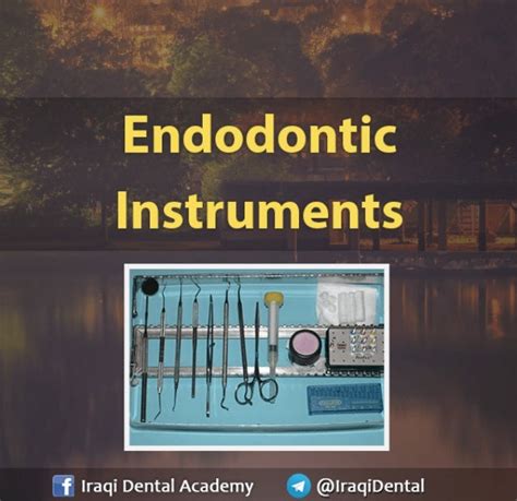 Basic Endodontic Instruments Presentation