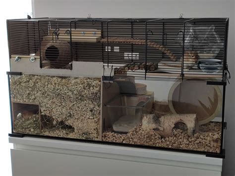 Just wanted to share my new cage setup with you 😁 : r/gerbil