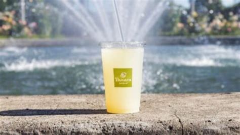 Panera Bread Lemonade Recipe