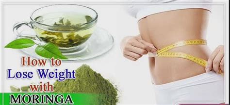 Can Moringa Help With Weight Loss? – Moringa Health Benefits