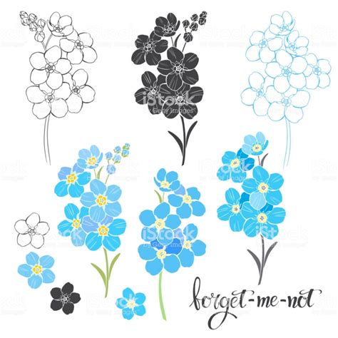 Vector collection of isolated floral illustrations with... | Ilustraciones florales, Flores para ...