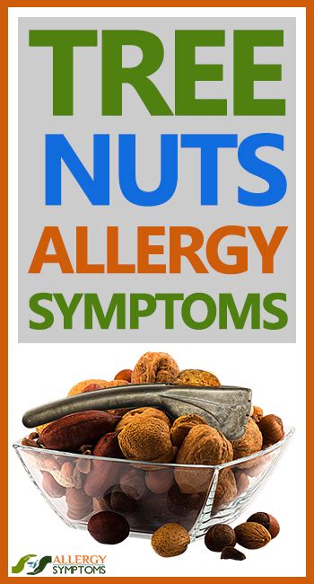 Tree Nut Allergy Symptoms - Allergy Symptoms