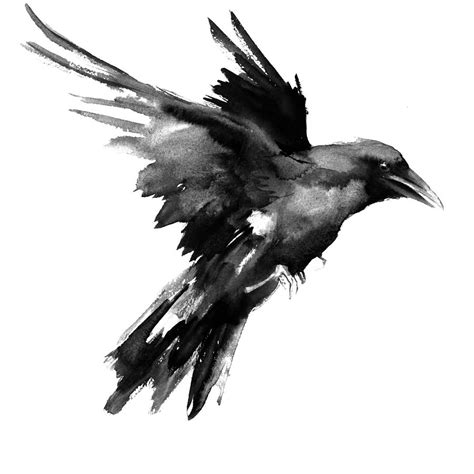 Flying Raven Painting by Suren Nersisyan