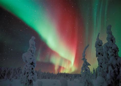 Lapland in Winter - Most Wonderful Season | Visit Finnish Lapland