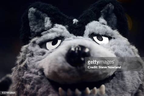 Loyola Chicago Mascot Photos and Premium High Res Pictures - Getty Images