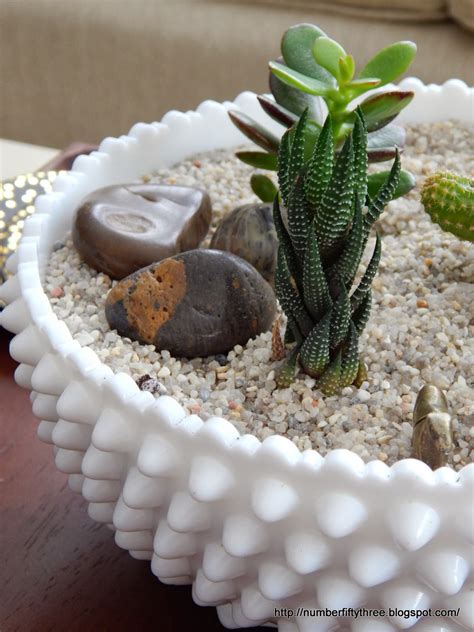 Easy cactus and succulent garden..... - Jennifer Rizzo