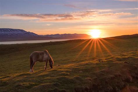 The Ultimate Guide to June in Iceland