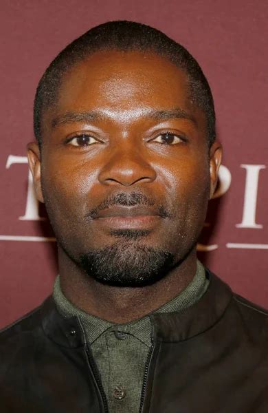 Actor David Oyelowo – Stock Editorial Photo © PopularImages #124247964