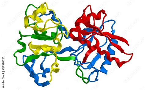 Molecular structure of human serum transferrin Stock Illustration | Adobe Stock