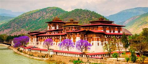 When is the best time to visit Bhutan - When to travel - Exoticca