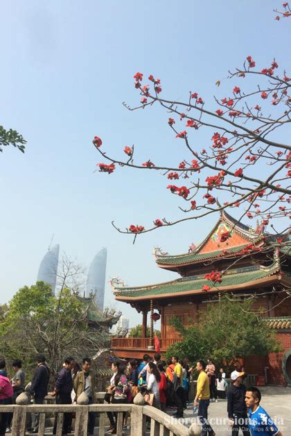 Xiamen Nanputuo Temple Photos - Shore Excursions Asia