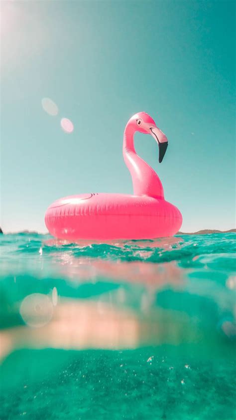 iPhone and Android Wallpapers: Pink Flamingo iPhone Wallpaper