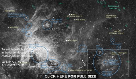 Hubble Photo of the Tarantula Nebula HD wallpaper | Nebula, Hubble photos, Hubble