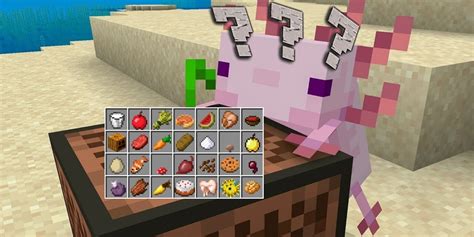 Minecraft: What Do Axolotls Eat?