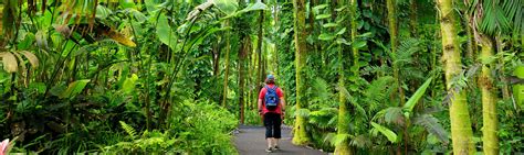 10 Best Hiking Trails on the Big Island + Big Island Trail Guide