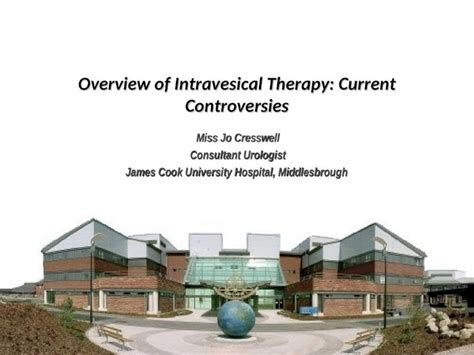 (PPT) Overview of intravesical therapy: Current Controversies - DOKUMEN.TIPS