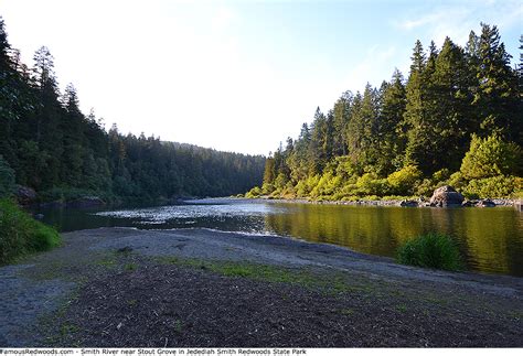 Jedediah Smith Redwoods State Park - Famous Redwoods