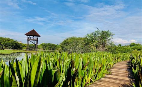 Beddagana Wetland Park в Коломбо (Шри-Ланка) с фото и отзывами