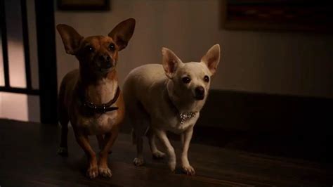 beverly hills chihuahua 2 (2011) - papi jr gets saved by delgado - YouTube