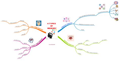 Types Of Memory Imindmap Mind Map Template Biggerplate | The Best Porn Website